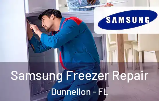  Samsung Freezer Repair Dunnellon - FL