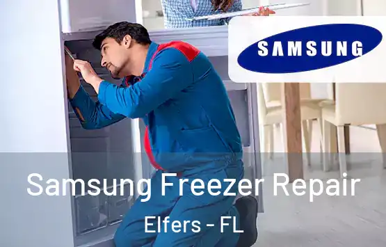  Samsung Freezer Repair Elfers - FL