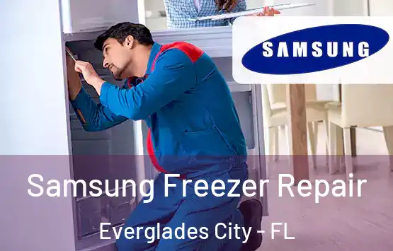  Samsung Freezer Repair Everglades City - FL