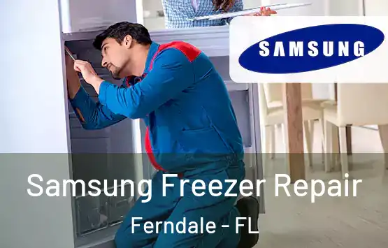  Samsung Freezer Repair Ferndale - FL