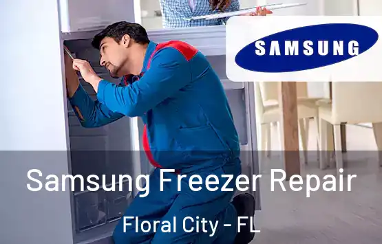  Samsung Freezer Repair Floral City - FL