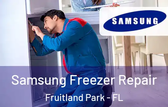  Samsung Freezer Repair Fruitland Park - FL