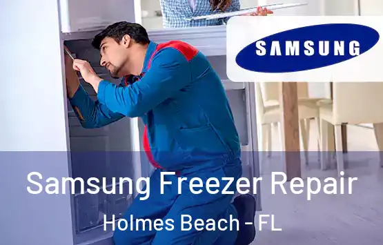  Samsung Freezer Repair Holmes Beach - FL