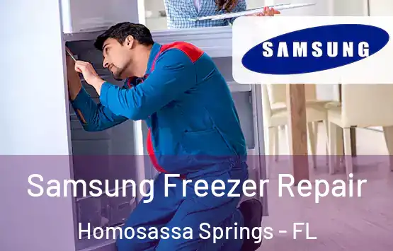  Samsung Freezer Repair Homosassa Springs - FL