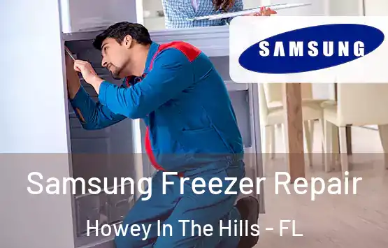  Samsung Freezer Repair Howey In The Hills - FL