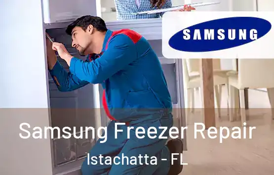  Samsung Freezer Repair Istachatta - FL