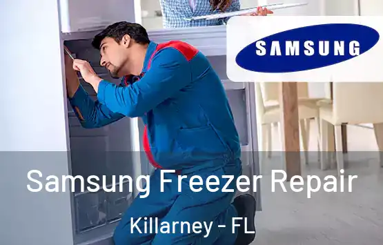  Samsung Freezer Repair Killarney - FL