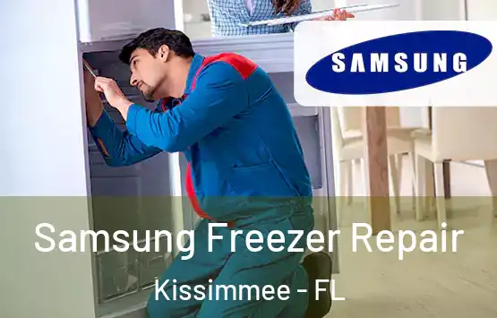  Samsung Freezer Repair Kissimmee - FL
