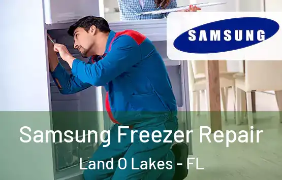  Samsung Freezer Repair Land O Lakes - FL