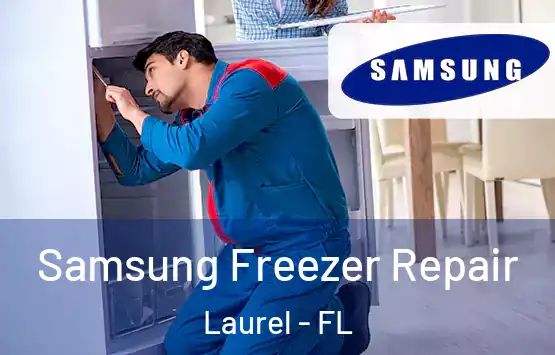  Samsung Freezer Repair Laurel - FL