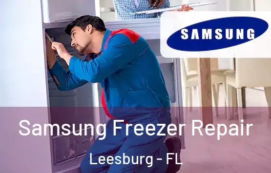  Samsung Freezer Repair Leesburg - FL