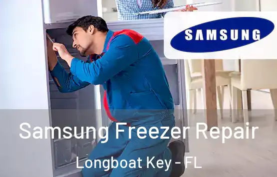  Samsung Freezer Repair Longboat Key - FL