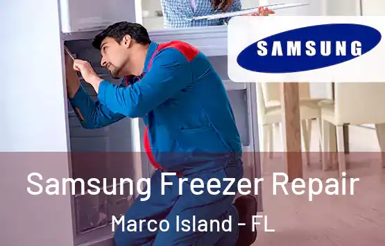  Samsung Freezer Repair Marco Island - FL
