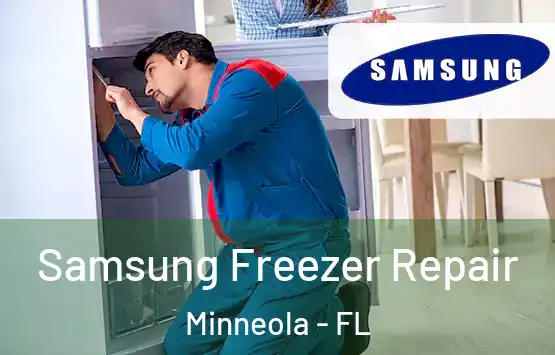  Samsung Freezer Repair Minneola - FL