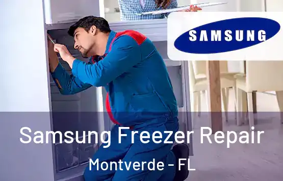  Samsung Freezer Repair Montverde - FL
