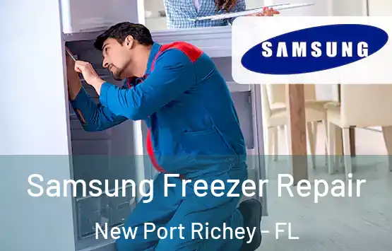  Samsung Freezer Repair New Port Richey - FL