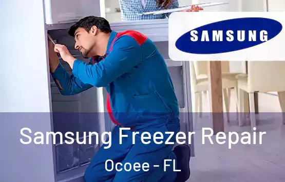  Samsung Freezer Repair Ocoee - FL