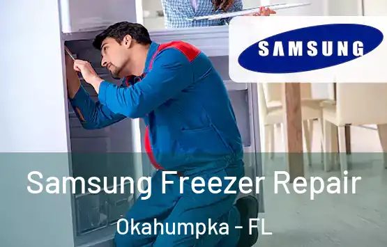  Samsung Freezer Repair Okahumpka - FL