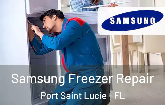  Samsung Freezer Repair Port Saint Lucie - FL