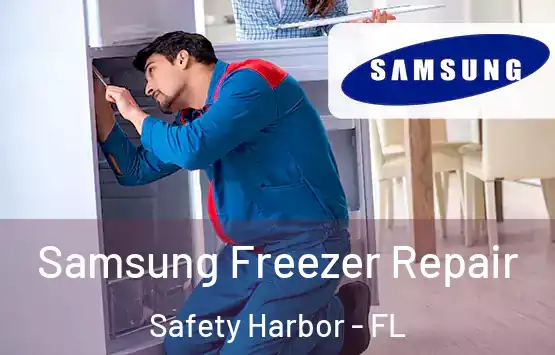  Samsung Freezer Repair Safety Harbor - FL