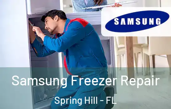  Samsung Freezer Repair Spring Hill - FL