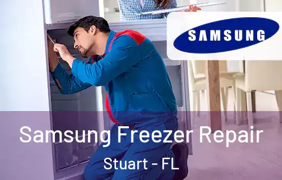  Samsung Freezer Repair Stuart - FL
