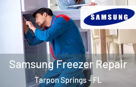  Samsung Freezer Repair Tarpon Springs - FL