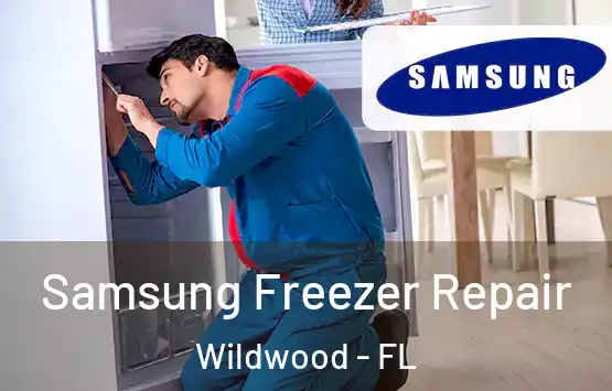  Samsung Freezer Repair Wildwood - FL