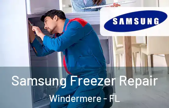 Samsung Freezer Repair Windermere - FL