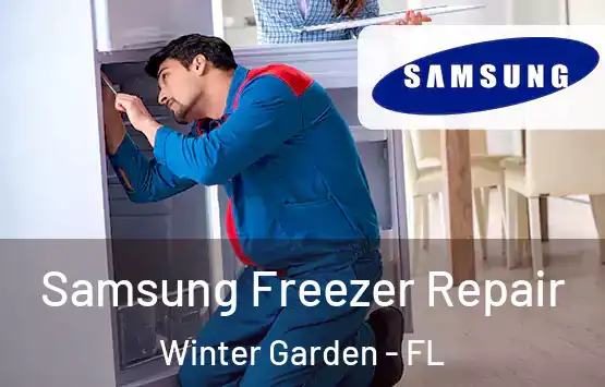  Samsung Freezer Repair Winter Garden - FL