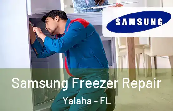  Samsung Freezer Repair Yalaha - FL