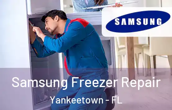  Samsung Freezer Repair Yankeetown - FL