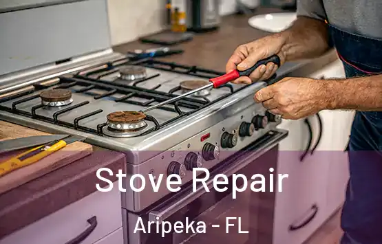  Stove Repair Aripeka - FL
