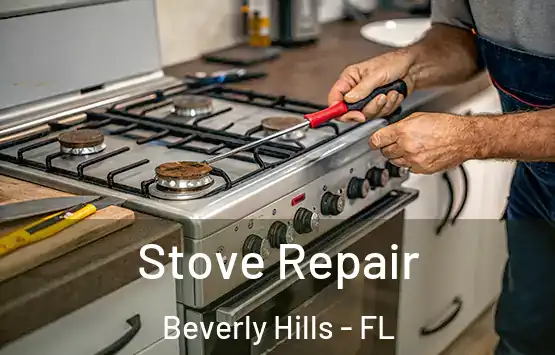  Stove Repair Beverly Hills - FL