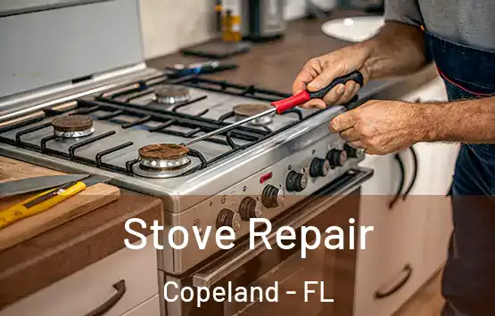  Stove Repair Copeland - FL