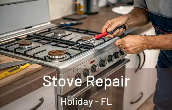  Stove Repair Holiday - FL