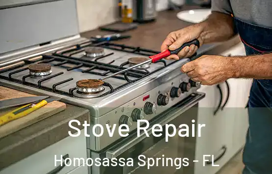  Stove Repair Homosassa Springs - FL