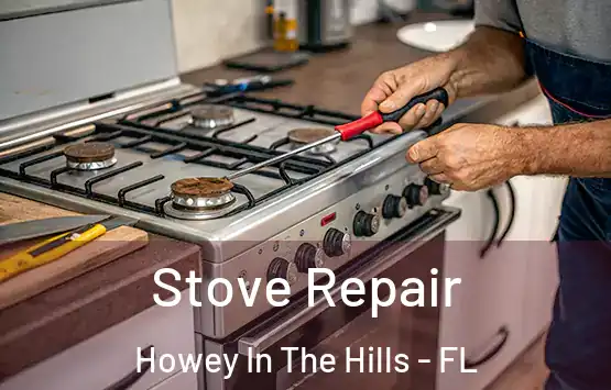  Stove Repair Howey In The Hills - FL