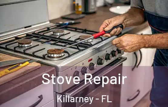  Stove Repair Killarney - FL
