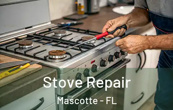  Stove Repair Mascotte - FL