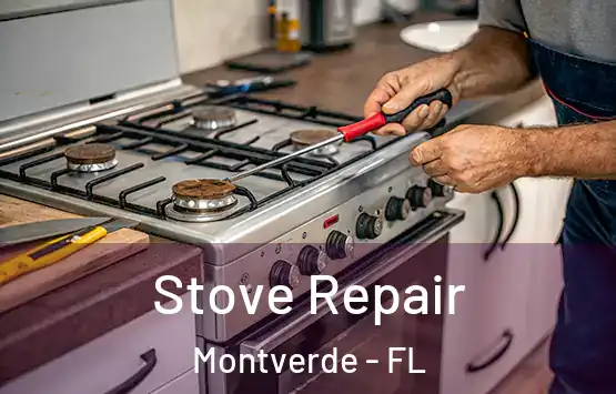  Stove Repair Montverde - FL
