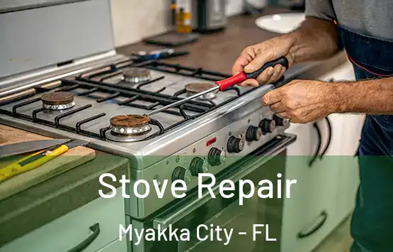  Stove Repair Myakka City - FL