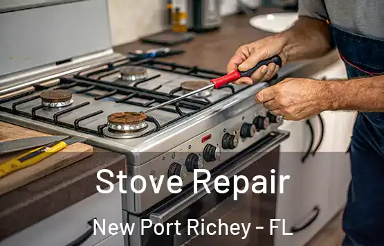  Stove Repair New Port Richey - FL