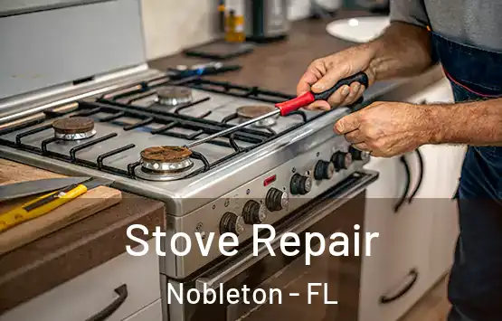  Stove Repair Nobleton - FL