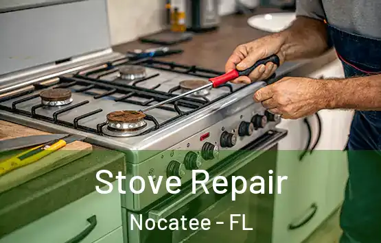  Stove Repair Nocatee - FL