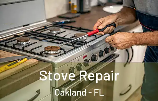  Stove Repair Oakland - FL