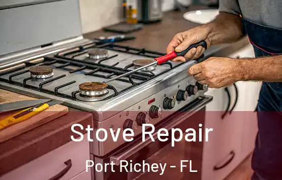  Stove Repair Port Richey - FL
