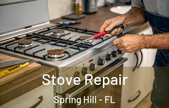  Stove Repair Spring Hill - FL