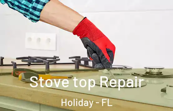  Stove top Repair Holiday - FL