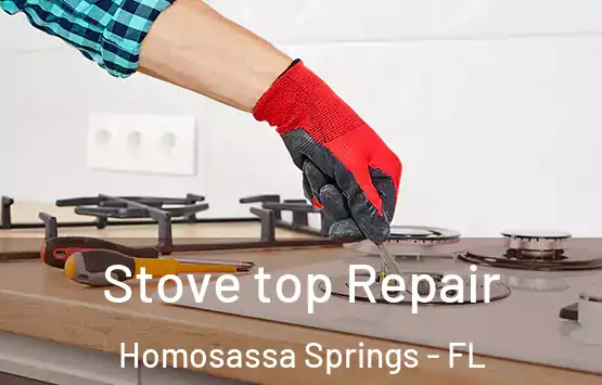  Stove top Repair Homosassa Springs - FL